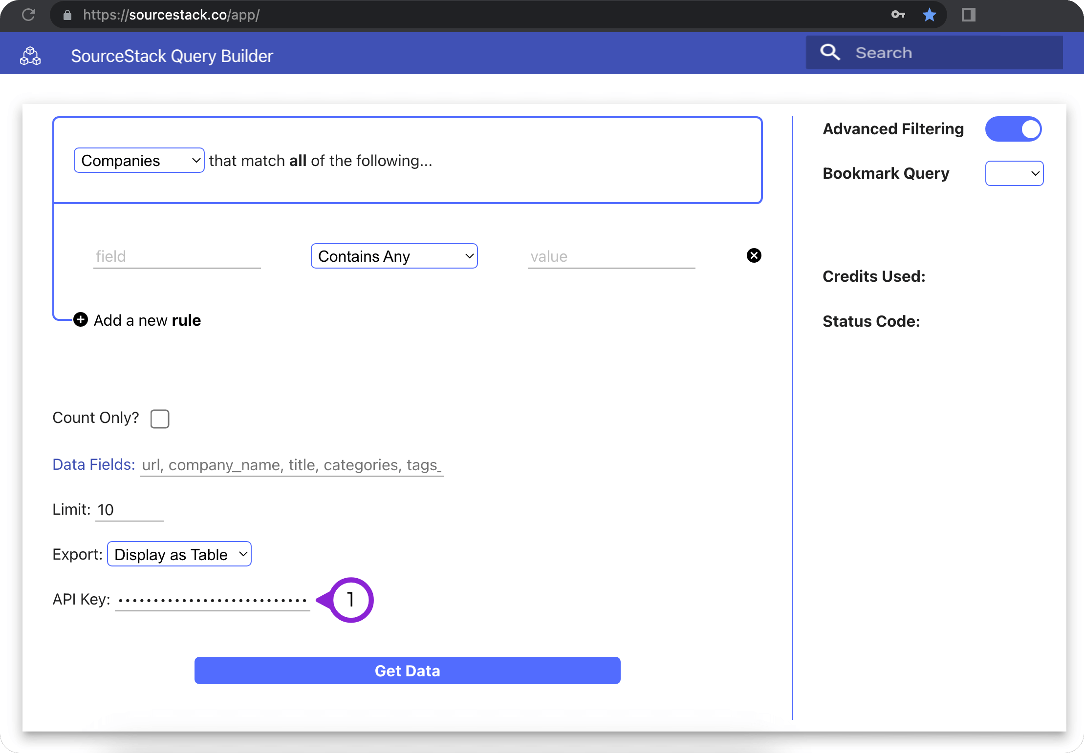 An example of entering your SourceStack credentials into the API Key input of the SourceStack webapp